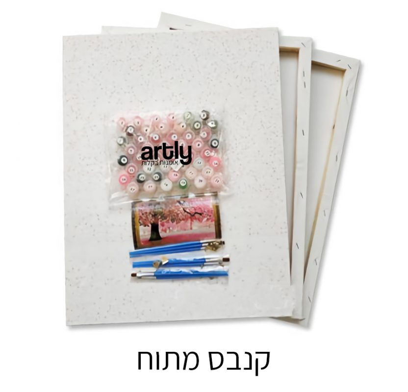 קנבס מתוח על מסגרת עץ